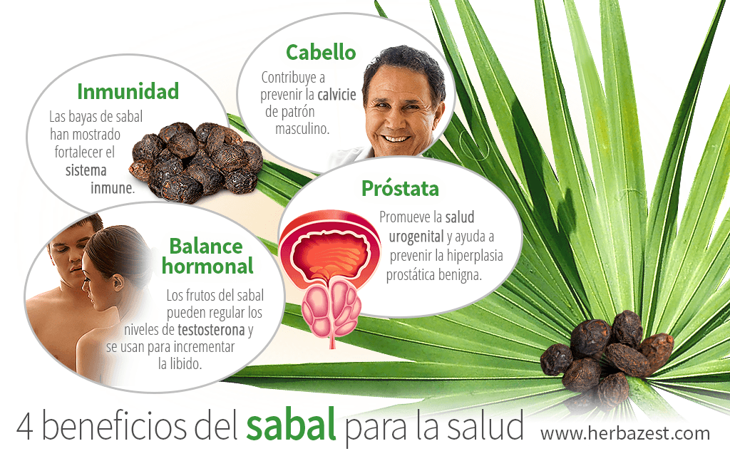Saw Palmetto Próstata