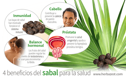 Saw Palmetto Próstata