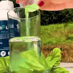 RtaFull,  Digestión Saludable.